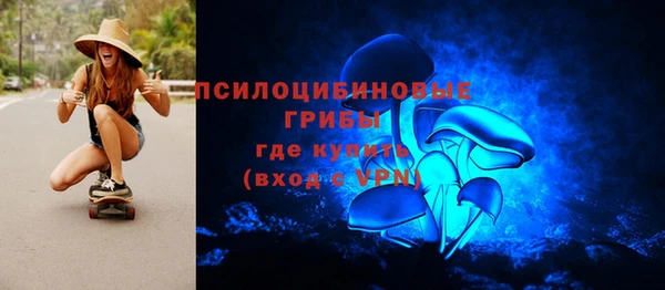 крисы Каменка