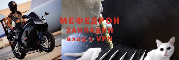 крисы Каменка