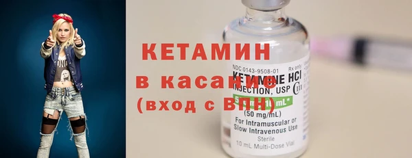 крисы Каменка