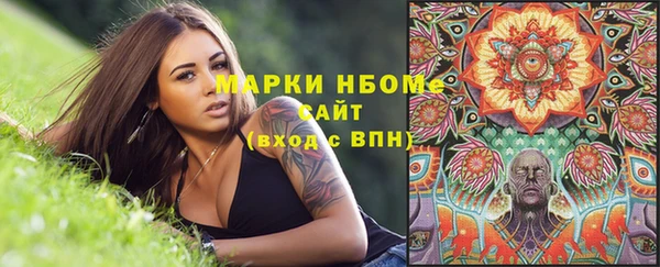 крисы Каменка