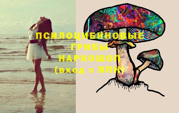 марки nbome Каменногорск