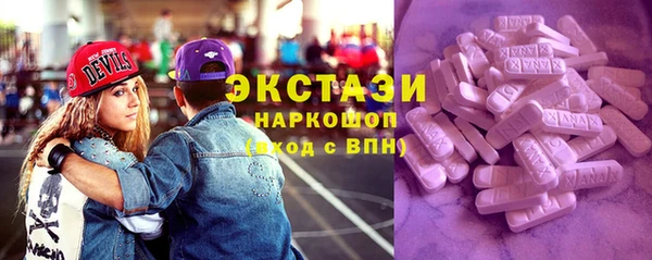 крисы Каменка