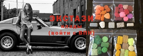крисы Каменка