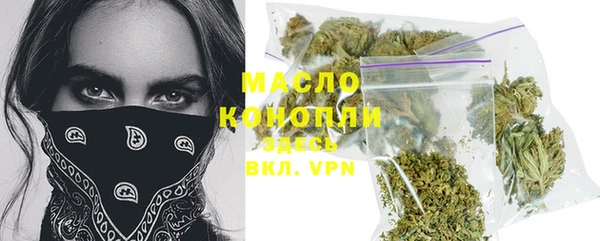 крисы Каменка