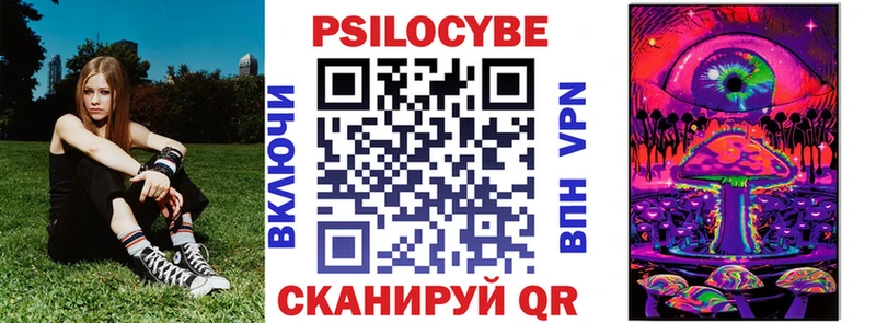 Купить  Куртамыш  Псилоцибиновые грибы мицелий 